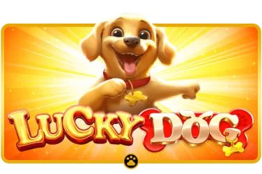 suckbet